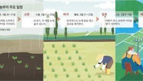 쌀 한톨을 위한 88번의 정성… “농업인의 날, 쌀의 소중함 되새겨요”