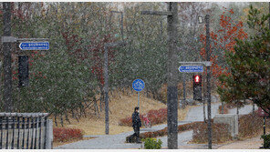 ‘기상청도 몰랐다’ 오늘 서울 ‘첫눈’ 올줄…작년보다 30일 빨라