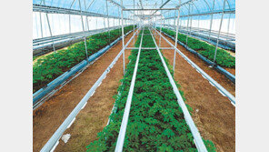 3000만원 투자시 月50만원 수익