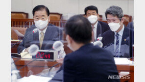 정의용 “남북 대화과정서 교황 방북 검토하란 의견 전달”