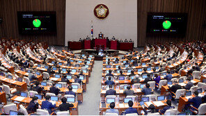 정개특위 결의안 본회의 통과…피선거권 연령·선거구 획정 논의