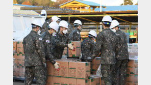 요소수, 주유소서만 승용차 10L까지 구입 가능