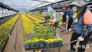 겨울철 화단 조성 준비