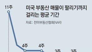 “美 자산버블 대공황 때보다 심해” 커지는 경고