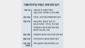 이재명측 “양도세 완화, 당론 따르겠다”… 여당 연내 처리 방침