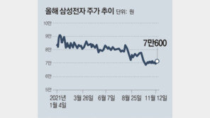 10만전자? 물타기도 지쳤다… 개미들, 1년만에 삼성전자 ‘손절’