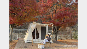 ‘정형돈♥’ 한유라, 가을 캠핑 즐기는 여유로운 일상