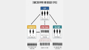 텔레그램 마약상 기소, SNS 유통에 ‘범죄집단’ 첫 적용