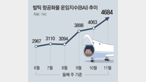 대한항공-아시아나, 3분기 깜짝 실적