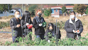 [지금 내 고향에선]“시골 외갓집처럼 푸근해요” 강진군 농촌 체험 관광 인기