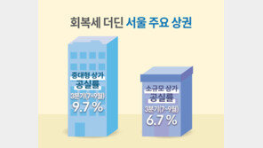 광화문·논현·홍대 중대형 상가 10곳 중 2곳은 공실