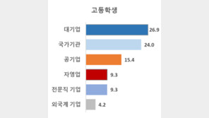 13~34세 청(소)년이 선호하는 직장은…“ 대기업, 공기업, 국가기관 순”