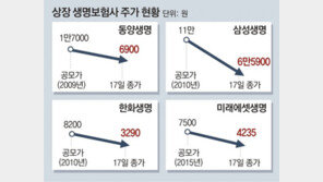 교보생명 IPO 3년만에 재추진… “내년 상반기 코스피 상장”