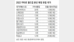 돌아온 ‘오렌지 군단’… 네덜란드, 8년 만의 월드컵