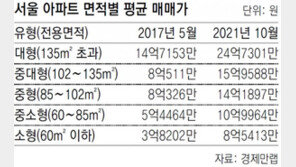 文정부 들어 서울 대형 아파트 평균 10억 올라