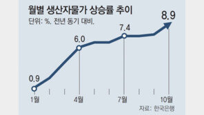 연말 생활물가 더 뛰나… 생산자물가 13년만에 최대폭 상승