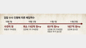 檢 “대장동 공범 배임액, 화천대유 분양수익의 절반 1176억 추가”