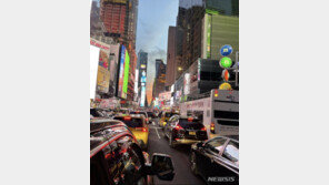 지성, 뉴욕서 일상 공유…교통체증과 반 고흐