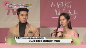 현빈♥손예진, 부동산 보유액 얼마…“한채씩만 합쳐도 260억”