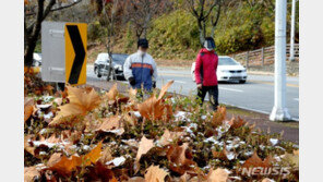 내일 내륙 일교차 15도 이상…강원영동 등 건조특보