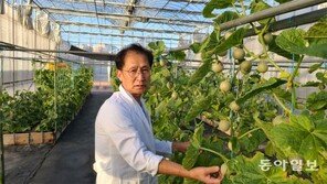 [파워리더 인터뷰]“항비만 성분 갖춘 멜론 신품종, 재배농가엔 소득보장 일거양득”