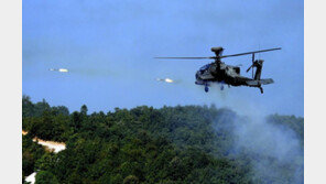 [사설]中 견제 미군 재배치… 대북 억지 넘는 동맹 역할 고민할 때