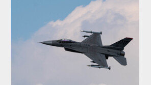미군 F-16 전투기, 아오모리 공항 비상착륙…민항기 결항