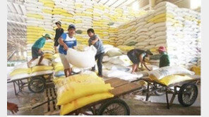 동남아 6개국에 심은 K농업 활짝 