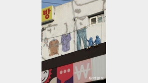 [고양이 눈]휴식