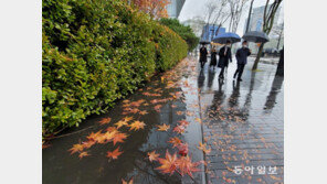 “비온 뒤 추워져요”… 오늘 서울 한낮 체감온도 영하 3도