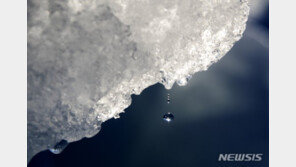 북극, 40∼50년 뒤면 눈보다 비가 더 많이 내려