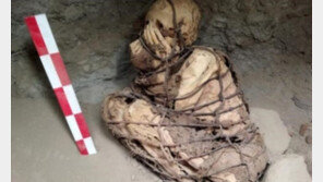 어떻게 묻혔을까…얼굴 두 손으로 가린 1200년된 미라 발견
