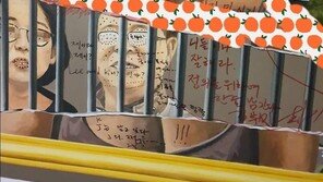 김부선, ‘김부선 훼손’ 공개…‘이재명 풍자 벽화’ 중 일부