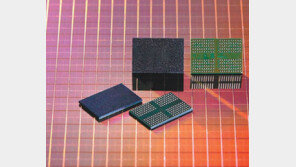 엔비디아의 ARM 인수 ‘독점 암초’… 대형M&A 추진 삼성도 고심