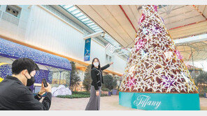 티파니 크리스마스트리 앞에서 ‘찰칵’