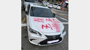 ‘렉서스 씨X’ 불법 주차한 일본車에 래커 테러…누리꾼들 갑론을박