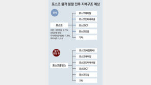포스코 지주사 전환, 주총이 관건