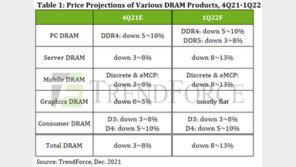 “D램가 내년에도 하향세…1분기 평균 8~13%↓”