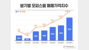 아파트 묶었더니…오피스텔 부동산 지표 ‘쑥’