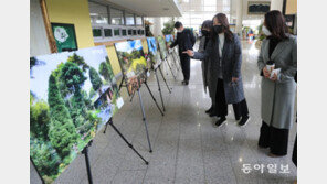 전남도청 로비서 ‘정원 사진전’