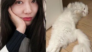 ‘임신’ 박신혜 “겨울이면 찾아오는 만취손님”…누구?