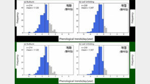 우리나라, 꽃은 빨리 피고 단풍은 늦게 든다…기후변화 탓