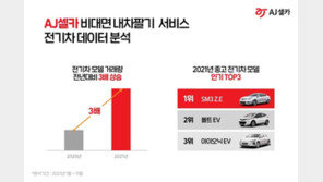 중고차도 ‘전기차 열풍’ 거래량 200% 급증…시세도 38% 쑥