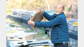 산은 원래 곰들의 땅…더불어 산다