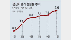 생산자물가 9.6% 올라 13년만에 최대