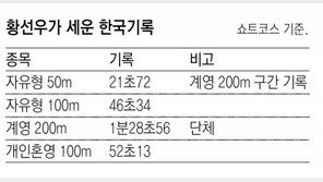 메달 따거나 한국신기록… 황선우, 출전했다 하면 새 역사