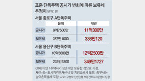 올해 공시가 비슷해도 내년 보유세 상승폭 30%P 차이