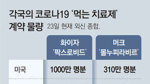 화이자 ‘코로나 치료 알약’ 16만명분 이르면 내달 도입