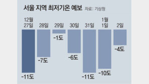 강원-전라-제주엔 폭설… 車고립-정전 피해