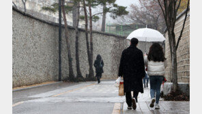 서울 등 수도권 곳곳 눈 날림…저녁까지 1㎝ 눈 쌓여